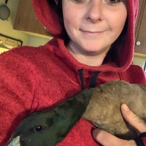 Meet your Posher, Kaydee